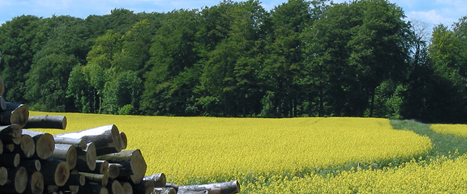 The future of biofuels will be discussed in Brussels on 5th december 2013