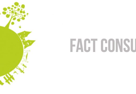 progetto FACT: consulenza strategica