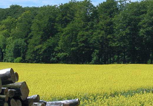 The future of biofuels will be discussed in Brussels on 5th december 2013